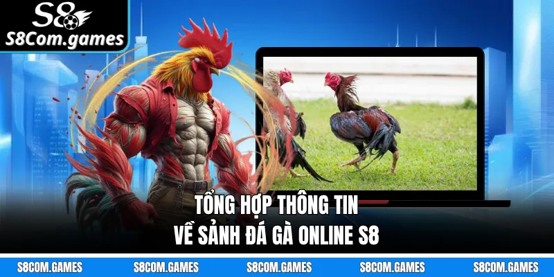 Tổng hợp thông tin về sảnh đá gà online S8 
